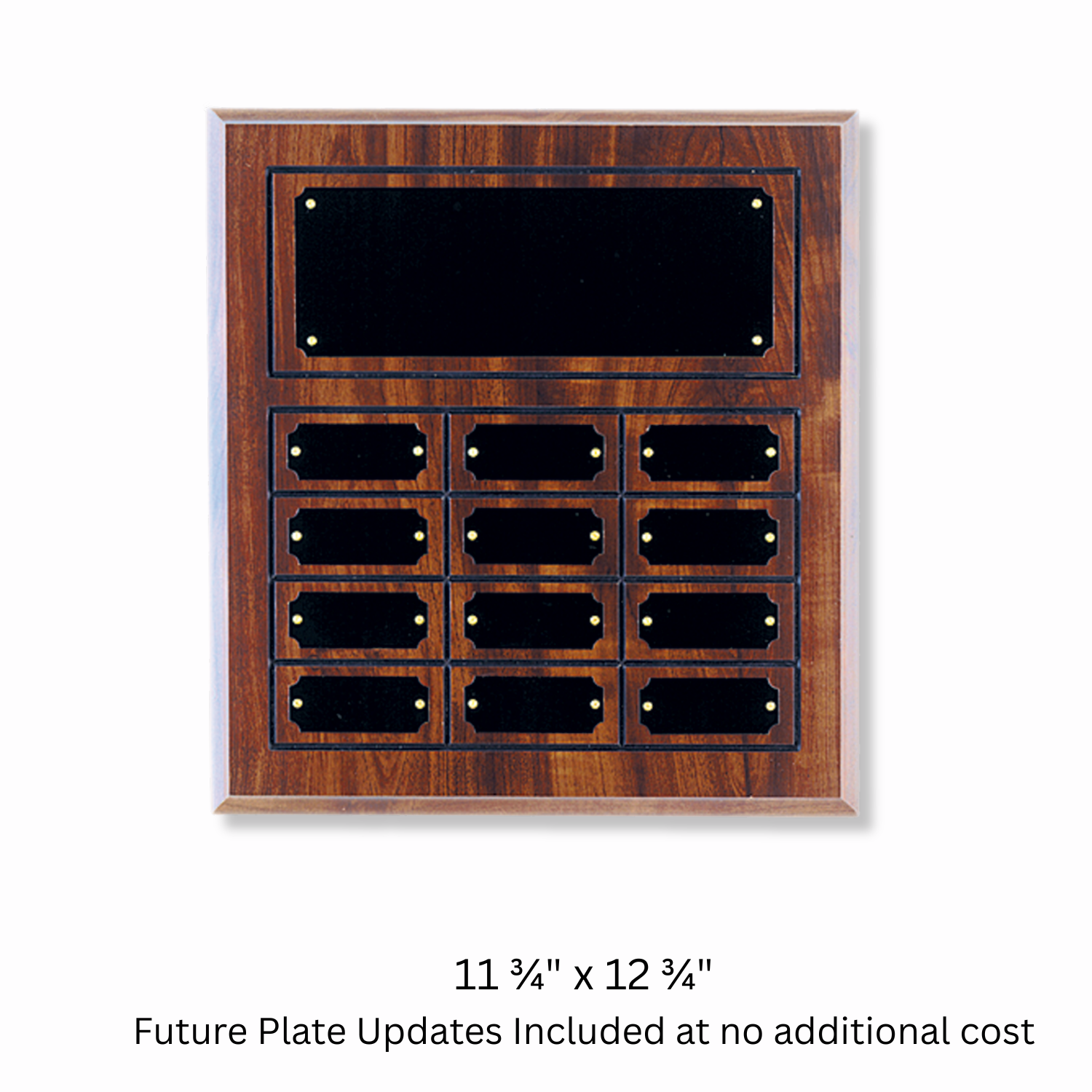 Traditional Perpetual Recognition Plaque | Lifetime Name Plate Updates