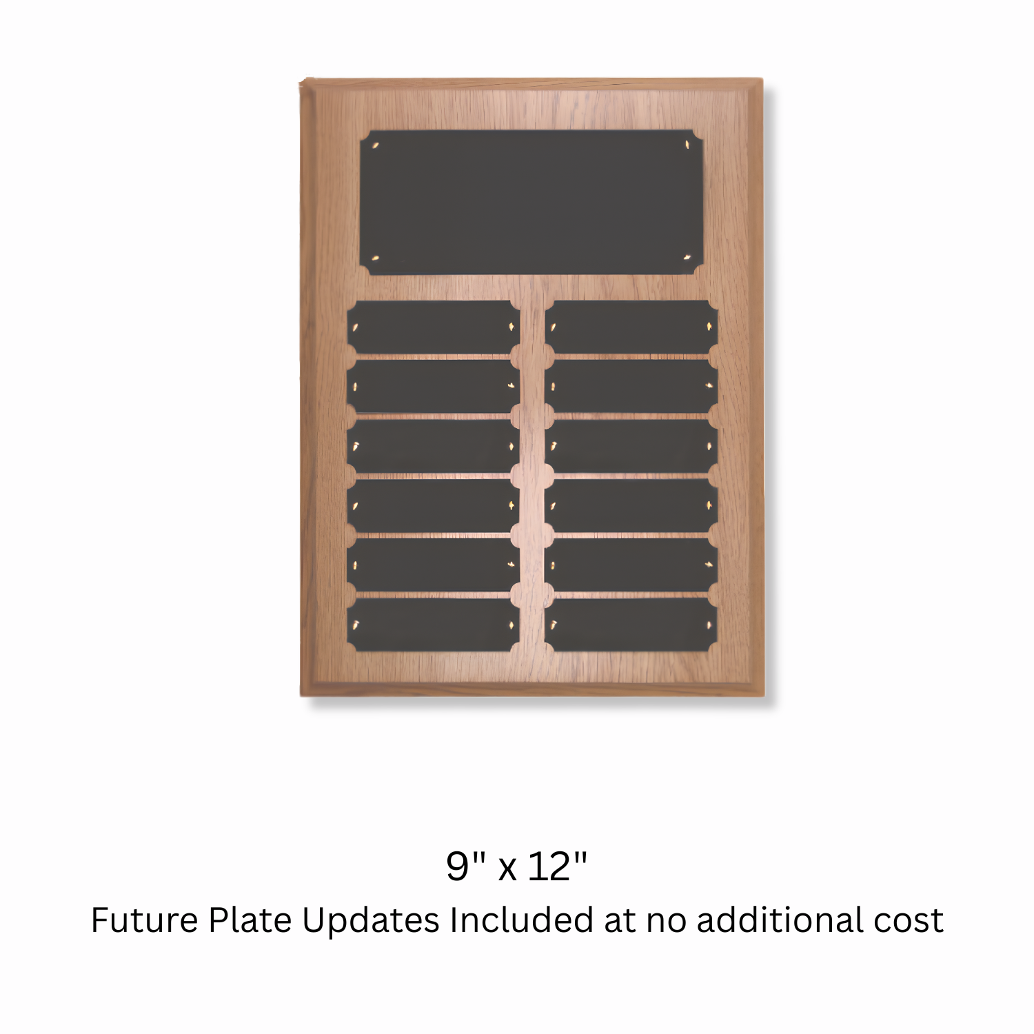 Traditional Perpetual Recognition Plaque | Lifetime Name Plate Updates