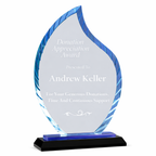 Donation appreciation award with blue and white design on a white background