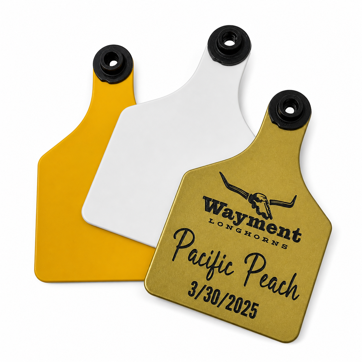 Ritchey Livestock Ear Tags | Custom Engraved Cattle & Sheep ID