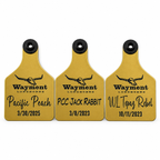 Ritchey Livestock Ear Tags | Custom Engraved Cattle & Sheep ID