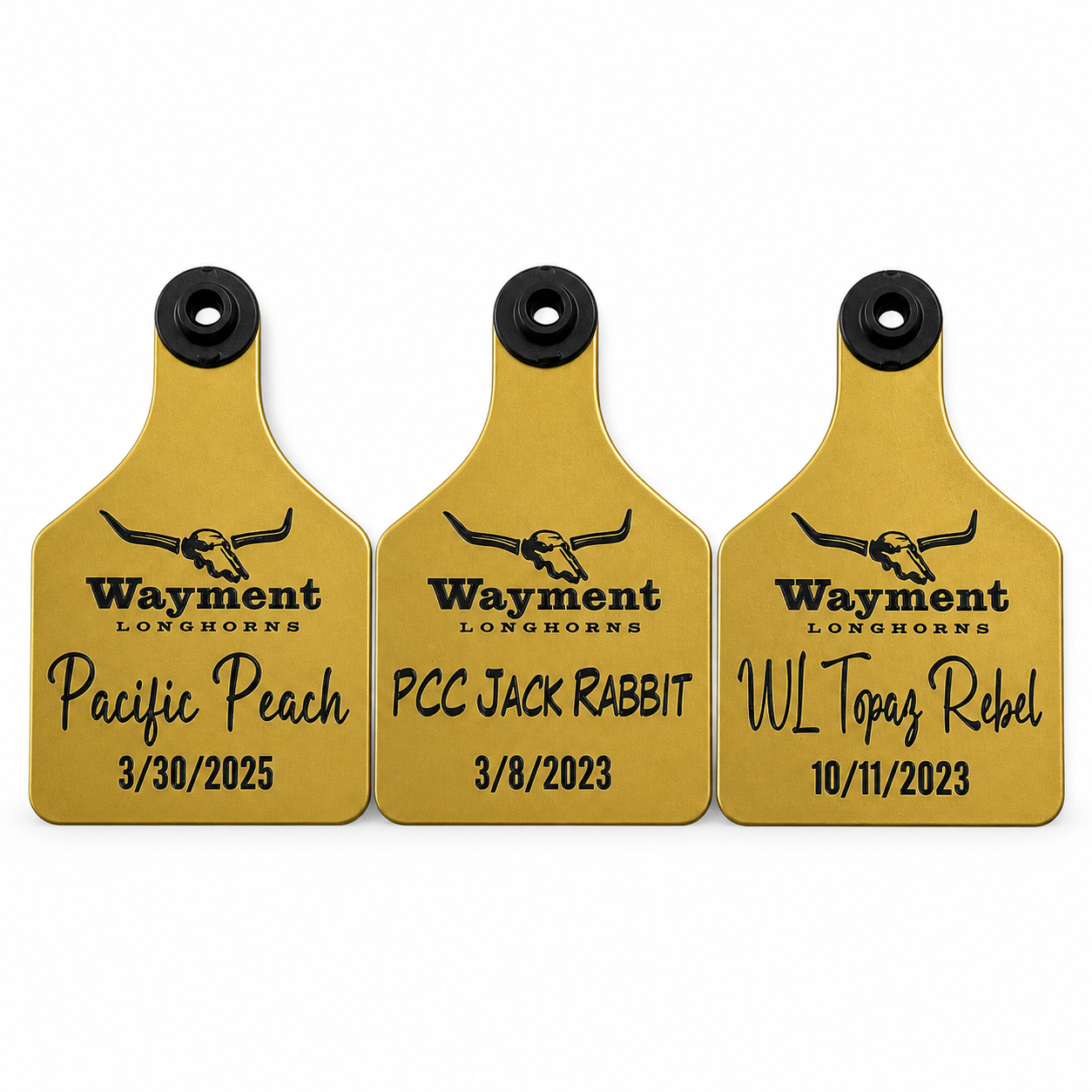Ritchey Livestock Ear Tags | Custom Engraved Cattle & Sheep ID