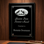 Granite State Summit Award plaque on a wooden surface
