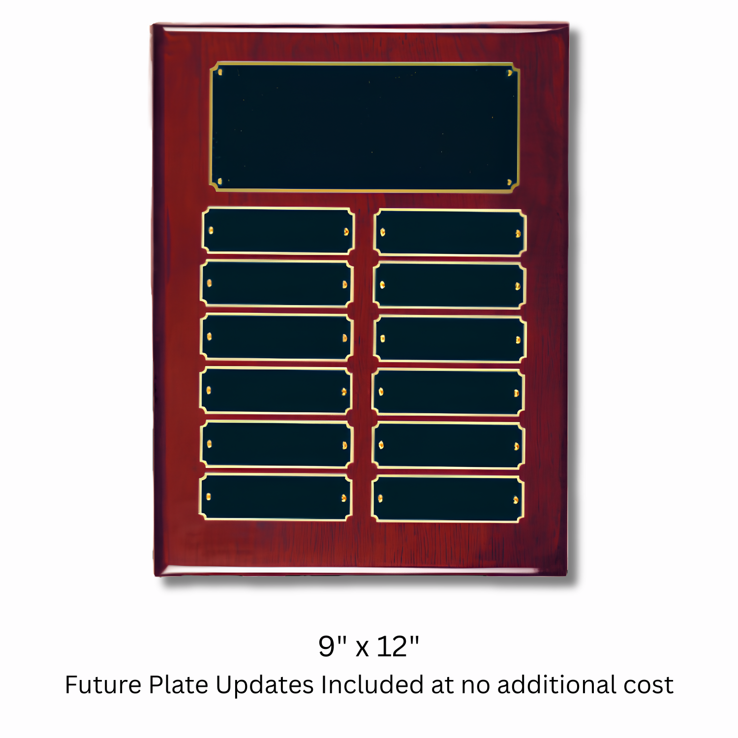 Piano Finish Perpetual Recognition Plaque | Lifetime Name Plate Updates
